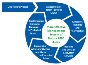 One Nature Project Cycle