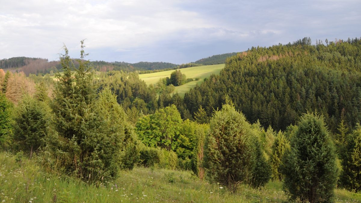 Evropsky významná lokalita Švařec (foto: Radka Broumová)