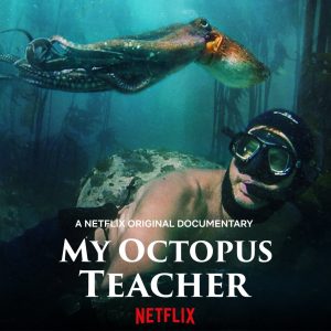 My Octopus Teacher (Moje učitelka chobotnice)