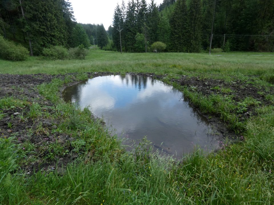 One of the ten digged round pools in the Beskydy Site of Community Importance. Photo by: Martin Škrott