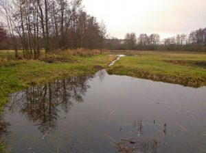 Vyhloubení tůní v evropsky významné lokalitě Hradiště. Foto: Petr Jiskra