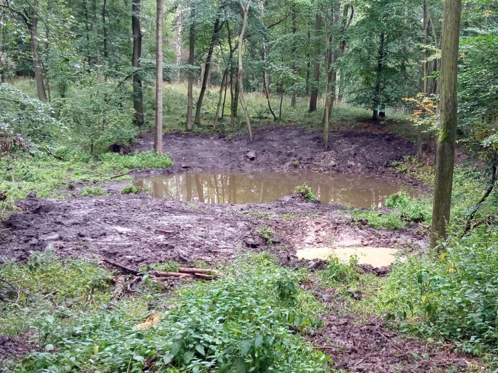 Creation of two new pools and spreading of soil in their immediate surroundings in the Březina SCI. Photo: Zdeňka Parýzková