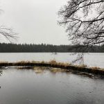 Kladský rybník