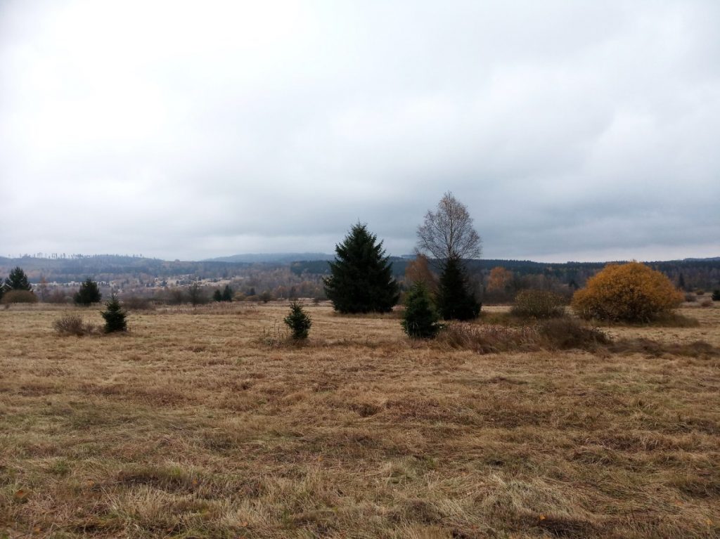 Manual mowing of wet meadows near Padrťské rybníky in the Padrťsko SCI.