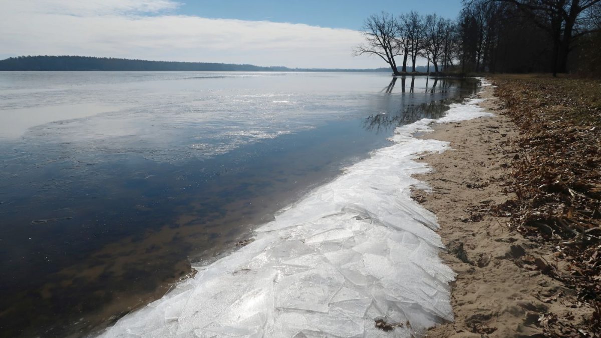 Vyplavený led na břehu rybníku Rožmberk v CHKO Třeboňsko. Foto: Johana Drlíková