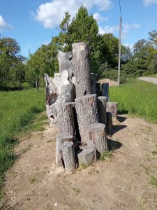 Broukoviště, do země zakopané klády představují vhodný náhradní biotop pro některé saproxylické druhy brouků, typicky roháče. Foto: Zdeněk Brož